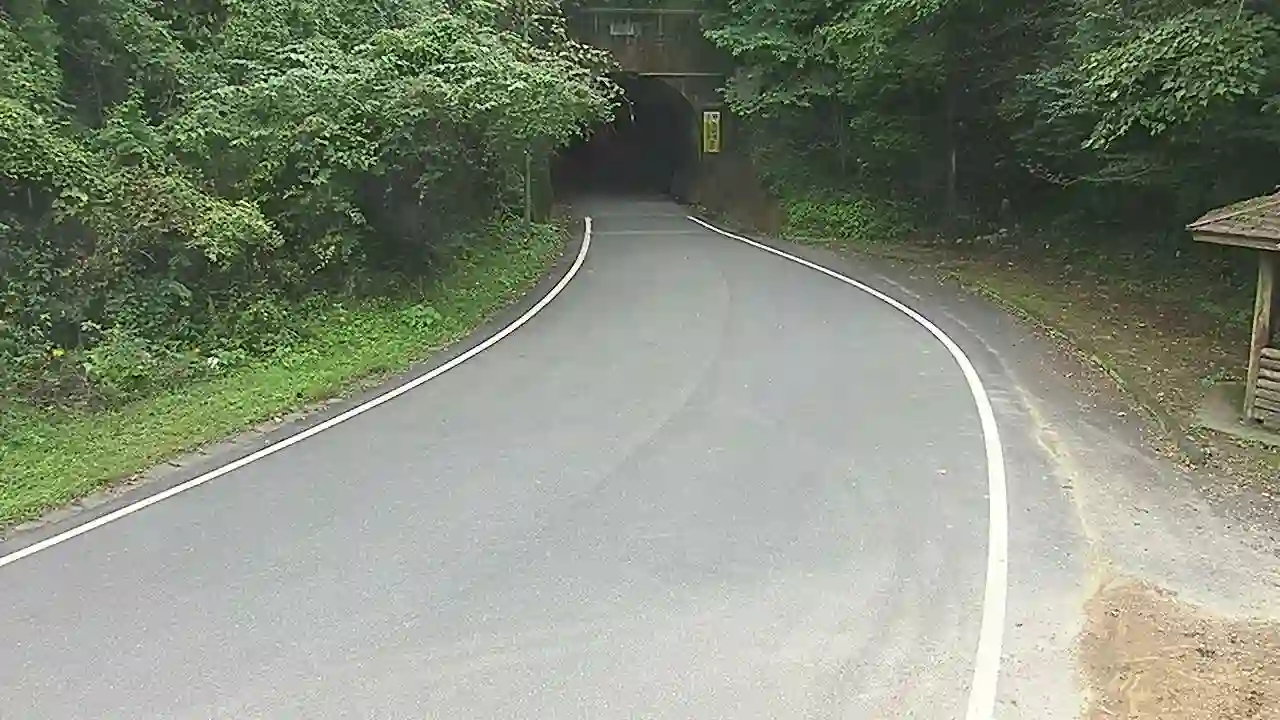 愛媛県道31号宇和三間線-歯長隧道